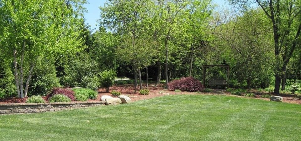 Protecting Your Landscape from Summer Heat